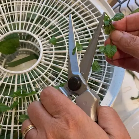 Kings County Tools Pruning Shears Garden Scissors image {5}