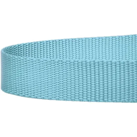 Country Brook Petz - Nylon Dog Leash (3/8 Inch Wide) image {4}