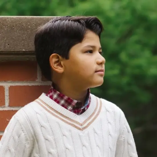 Hope & Henry Boys' Long Sleeve V-Neck Cricket Sweater, Kids image {3}