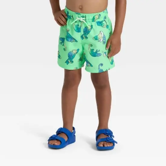 Toddler Boys' Ombre Chameleon Swim Shorts - Cat & Jack&trade; Green image {2}