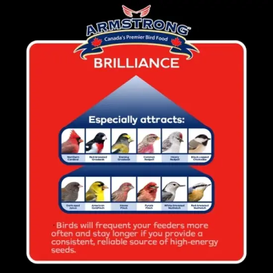 Armstrong Wild Bird Food Royal Jubilee Brilliance Suet Cake, 10.6oz (Pack of 3) image {2}