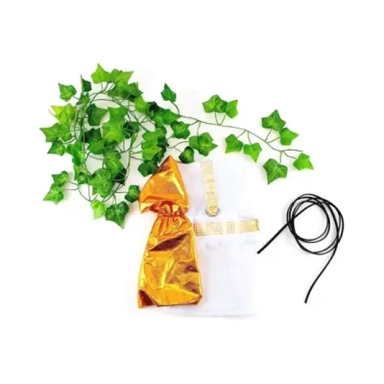 Midlee Toga Dog Costume image {1}