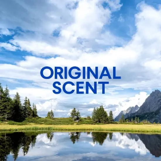 Clorox Original Clean-Up All Purpose Cleaner with Bleach Spray Bottle - 32oz image {6}