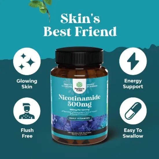Nicotinamide Capsules, Mitochondrial Energy and Potent Skin Supplement, Nature's Craft, 240ct image {1}