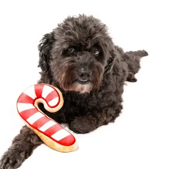 Midlee Christmas Sugar Cookie Plush Dog Toy- Candy Cane image {2}