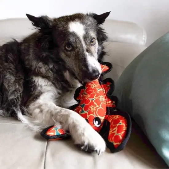 KONG Hibiscus Lobster Ballistic Dog Animal Toy image {3}
