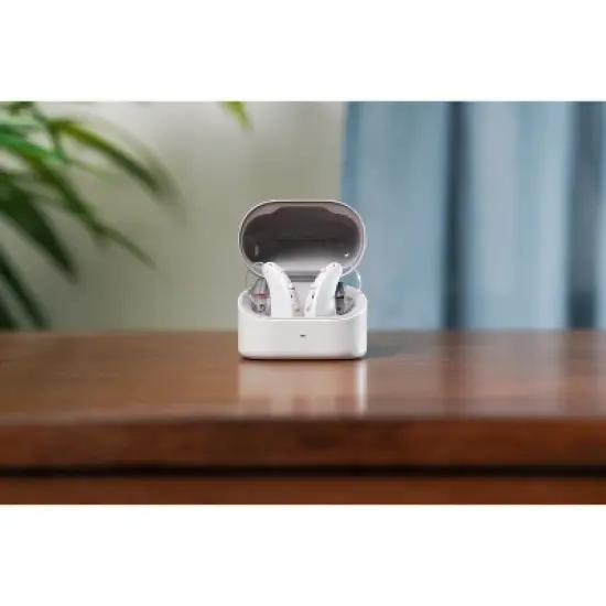 Zepp Omni Hearing Aids (Gray) image {2}