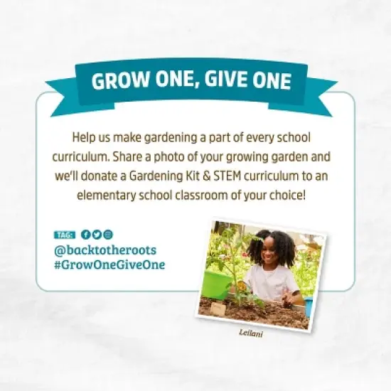 Back to the Roots 6qt Organic Potting Mix All Purpose: OMRI Certified, for Patio & Garden image {10}