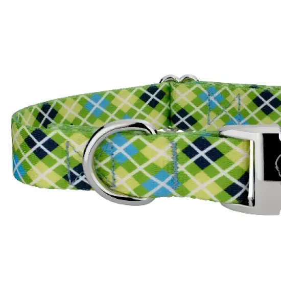 Country Brook Petz Premium Margarita Argyle Dog Collar image {5}