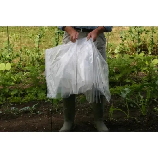 Easy Poly Tunnel &ndash; Durable UV-Stabilized Polyethylene, Galvanized Steel Hoops, Ideal for Early Planting and Protection image {3}