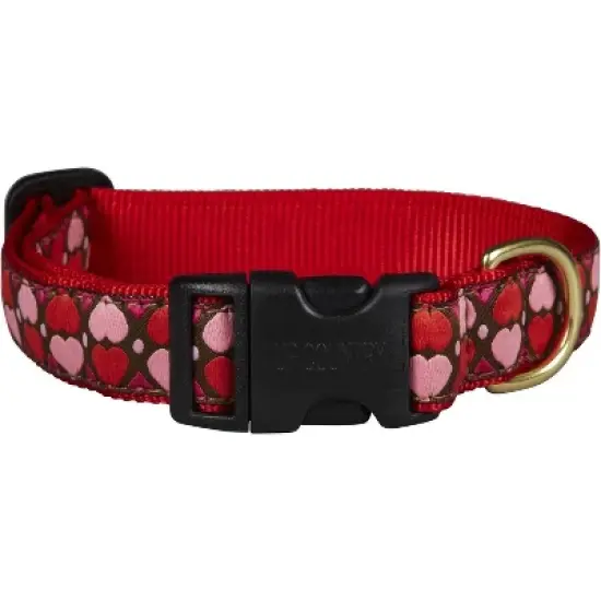 Up Country All Hearts Valentine Dog Collar, Medium image {1}