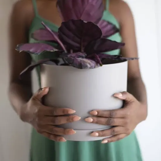 Bloem Mathers Indoor Outdoor Planter Pot with Saucer Pebble Stone 8.5"x6.62" image {1}