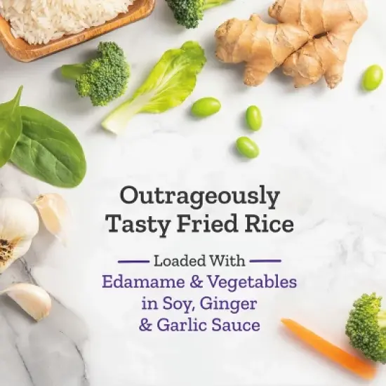 Purple Carrot Vegan Frozen Plant Based Loaded Vegetable Fried Rice - 10.75oz image {2}