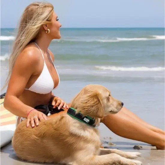 Black Rhino Ultra Soft Neoprene Padded Dog Collar - Small - Pink image {1}