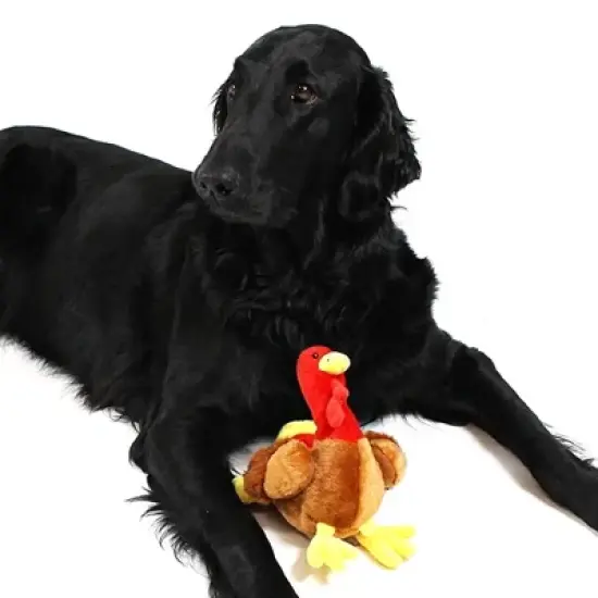 Midlee Thanksgiving Turkey Dog Toy image {3}