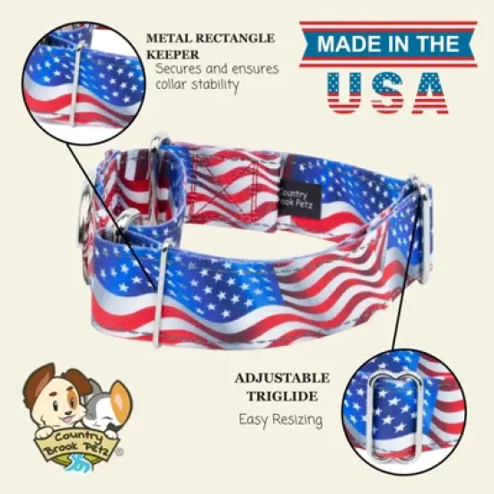 Country Brook Petz HossFit Jr Wide Reflective Martingale Dog Collar Collection Featuring Night Safe Designs image {6}