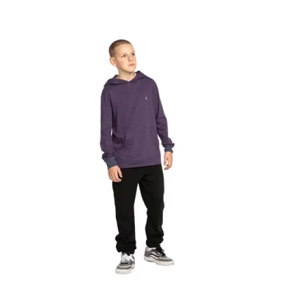 Volcom Boys Iconic Stone Fleece Pants image {3}