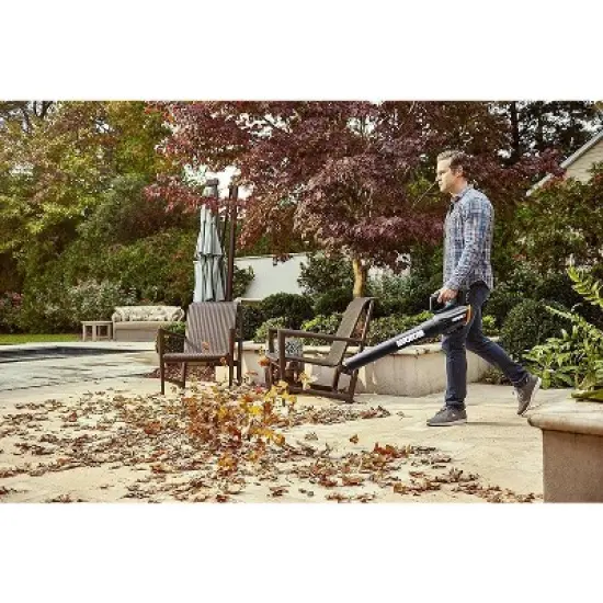 Worx WG547.2 20V Power Share TURBINE 4.0Ah Cordless Two-Speed Leaf Blower image {1}