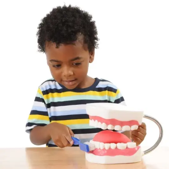 Kaplan Early Learning Healthy Smiles Dental Model image {1}