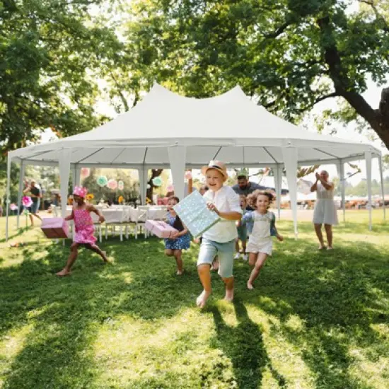 EROMMY 29.5 Ft. W &times; 23.5 Ft. D Metal Party Tent image {8}