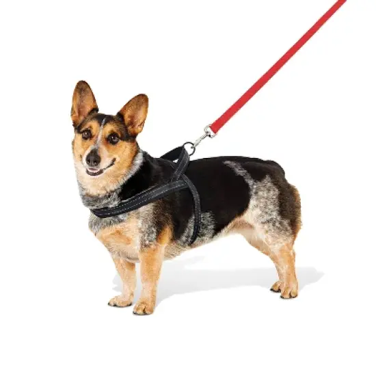 No Pull Comfort Dog Harness - Boots & Barkley&trade; image {4}