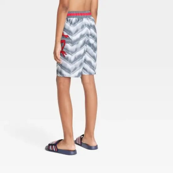 Boys' Spider-Man Swim Shorts - Gray image {1}