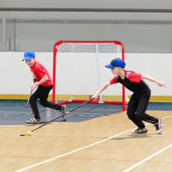 VEVOR Youth Street Hockey Net, Indoor Outdoor Steel Hockey Goal, Portable Lightweight Youth Street + Roller for Kids image {1}