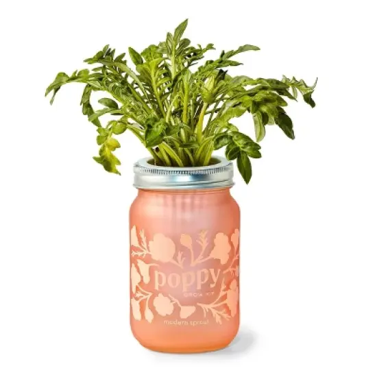 Modern Sprout Poppy Purple Pint Jar Grow Kit image {5}