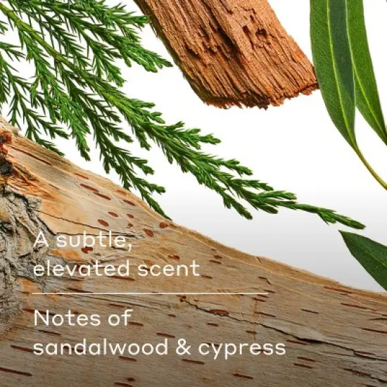 Harry's Wildlands Extra-Strength Solid Antiperspirant Stick for Men Woodsy Scent - 2.5oz image {5}