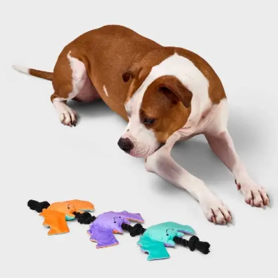 16.77" Bats Dog Rope Toy - Boots & Barkley&trade; image {1}