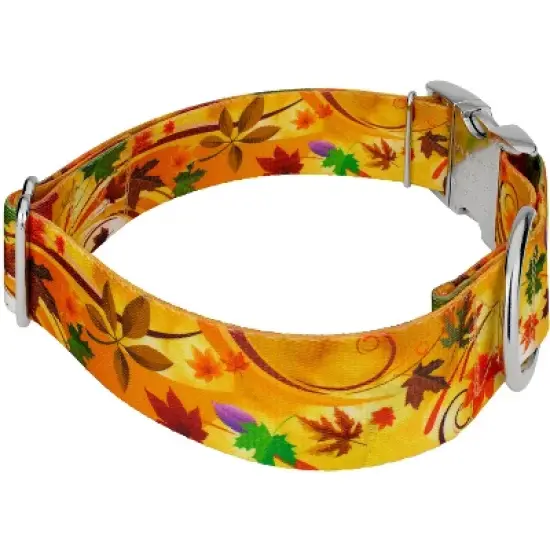 Country Brook Petz HossFit Jr Wide Premium Dog Collar - Awesome Autumn Collection image {2}