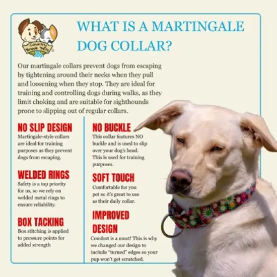 Country Brook Petz HossFit Jr Wide Martingale Dog Collar - Floral Collection image {5}