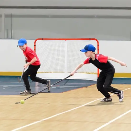 VEVOR Street Hockey Net, Indoor Outdoor Steel Hockey Goal, Official Regulation Pro Hockey Training Goal Set, Portable Hockey Goal with Net image {1}