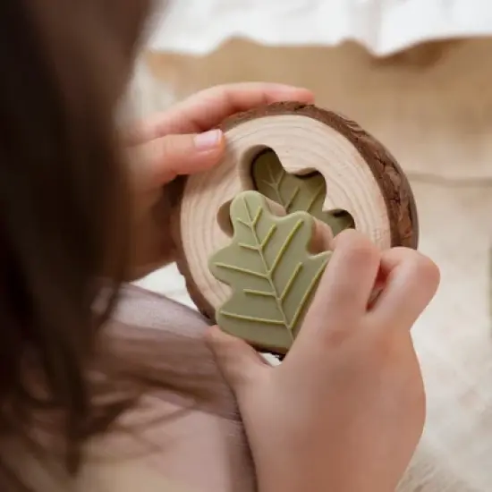 Guidecraft Nature Feel and Find - 24 pc. Set - Nature Based Kids Science Learning Toy image {5}