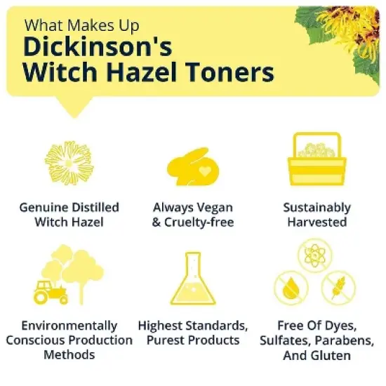 Dickinson's Enhanced Witch Hazel with Rosewater Alcohol-Free 98% Natural Formula Hydrating Toner - 16 fl oz image {6}