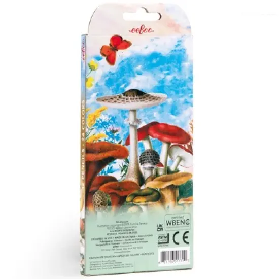 eeBoo: Double-Sided Color Pencils, Mushroom, 12pc, Kids Art & Drawing Supplies image {2}