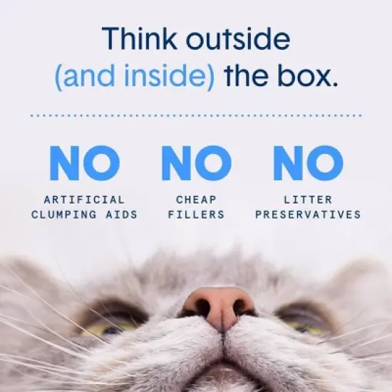 Boxiecat Unscented Odor Control Clumping Plant-Based Cat Litter image {4}