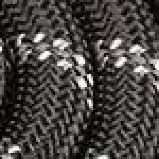 Doggy Tales Braided Rope Leash Black image {2}