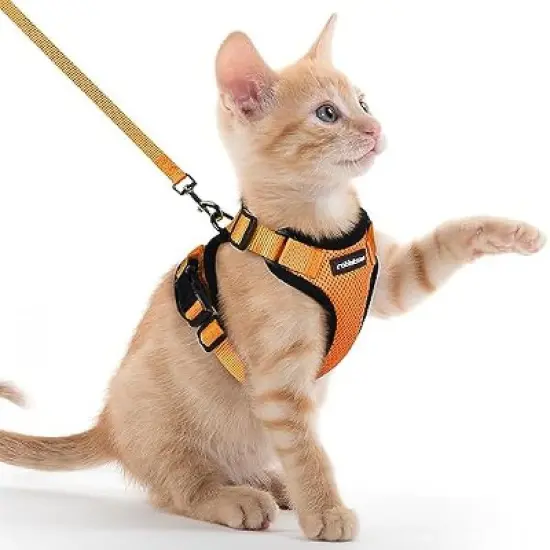 rabbitgoo Cat Harness and Leash for Walking image {4}