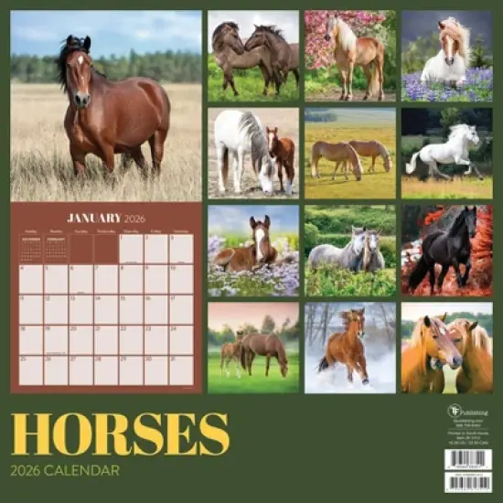 TF Publishing 13.5"x14.5" 2026 Horses Wall Calendar image {3}