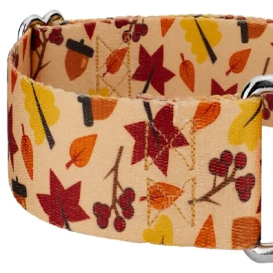 Country Brook Petz 1 1/2 Inch Fall Foliage Martingale Dog Collar image {3}