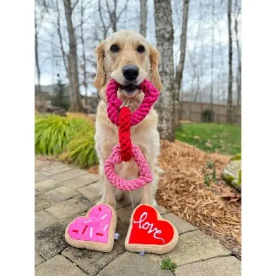 Midlee Interlocking Heart Rope Valentine Dog Toy - 6" image {3}