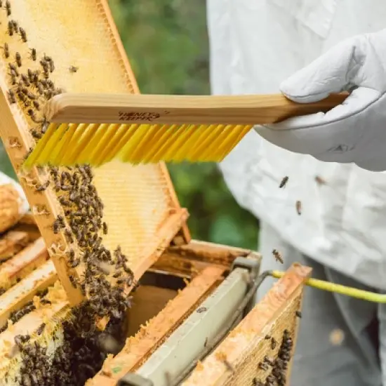 Honey Keeper 14-Inch Bee Hive Brush with Wooden Handle - Beekeeping Tool for Beekeepers image {3}