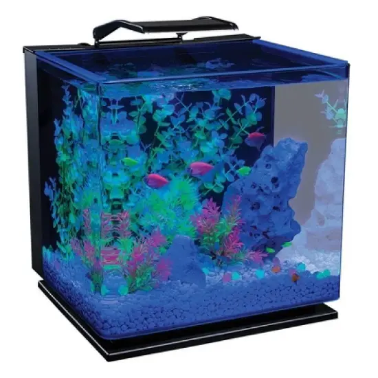 GloFish Glass Aquarium Kit 10gal Includes LED Decor and Filter Aquarium and Terrarium Tools image {2}