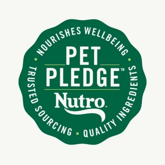 Nutro Peanut Butter Flavor Crunchy Training Treats Dog Treats image {9}