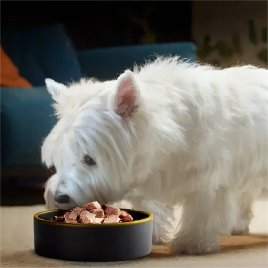 Cesar Classic Loaf in Sauce Porterhouse Steak, Beef and Gravy Flavor Small Breed Wet Dog Food - 3.5oz image {4}