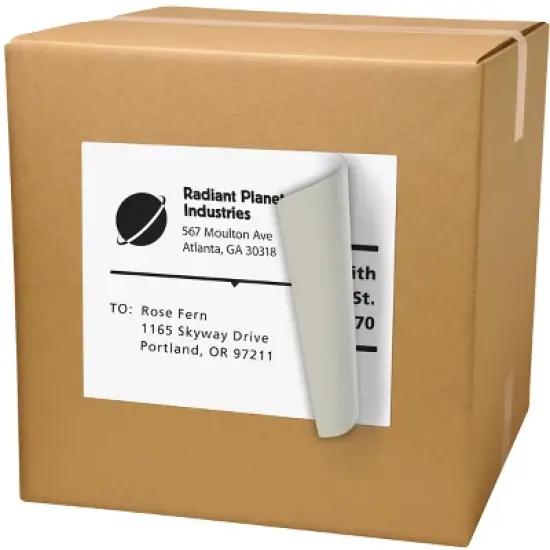 Avery Internet Shipping Labels, 8-1/2" x 11", (2 Pack of 15265) image {1}