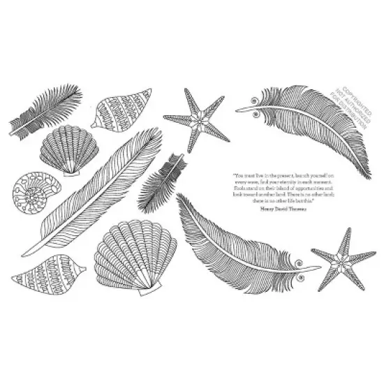 The Coloring Book of Mindfulness: Adult Creative Thinking & Relaxation, 96 Pages, Chronicle Books image {2}