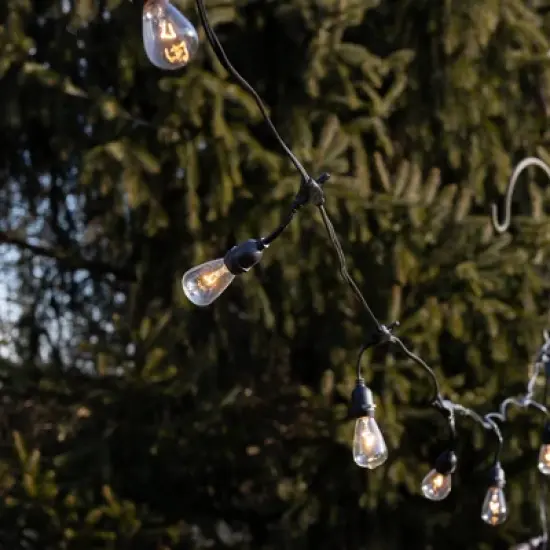 LumaBase Electric Commercial-Grade String Lights with 12 Edison Bulbs image {6}