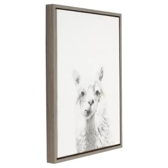 24" x 18" Alpaca Framed Canvas Art - Uniek image {1}